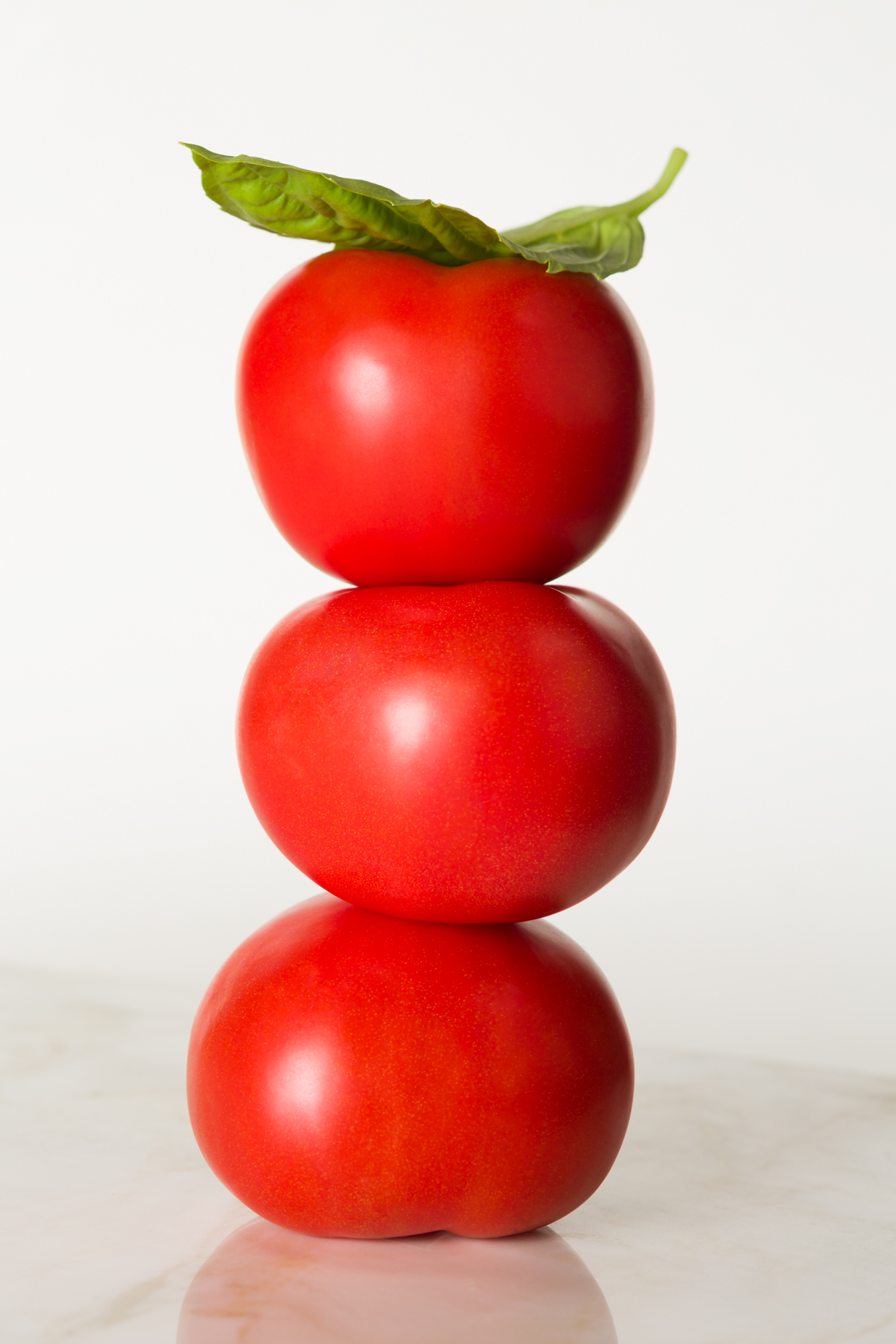 Tomato-4492